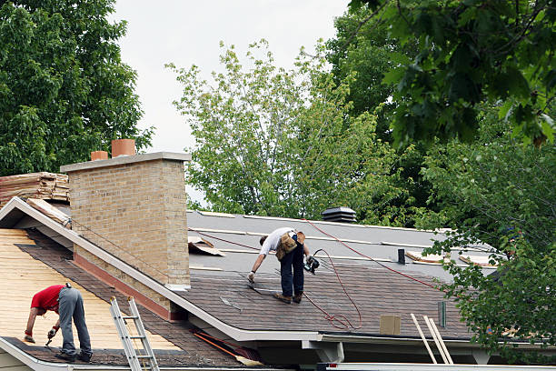 Best Roof Gutter Cleaning  in Parrish, AL