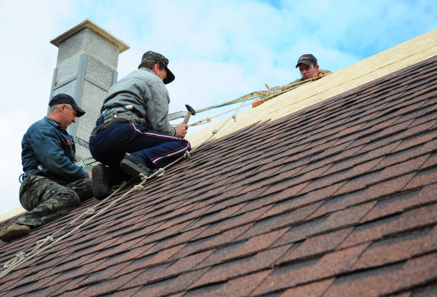 Best Roof Restoration Services  in Parrish, AL